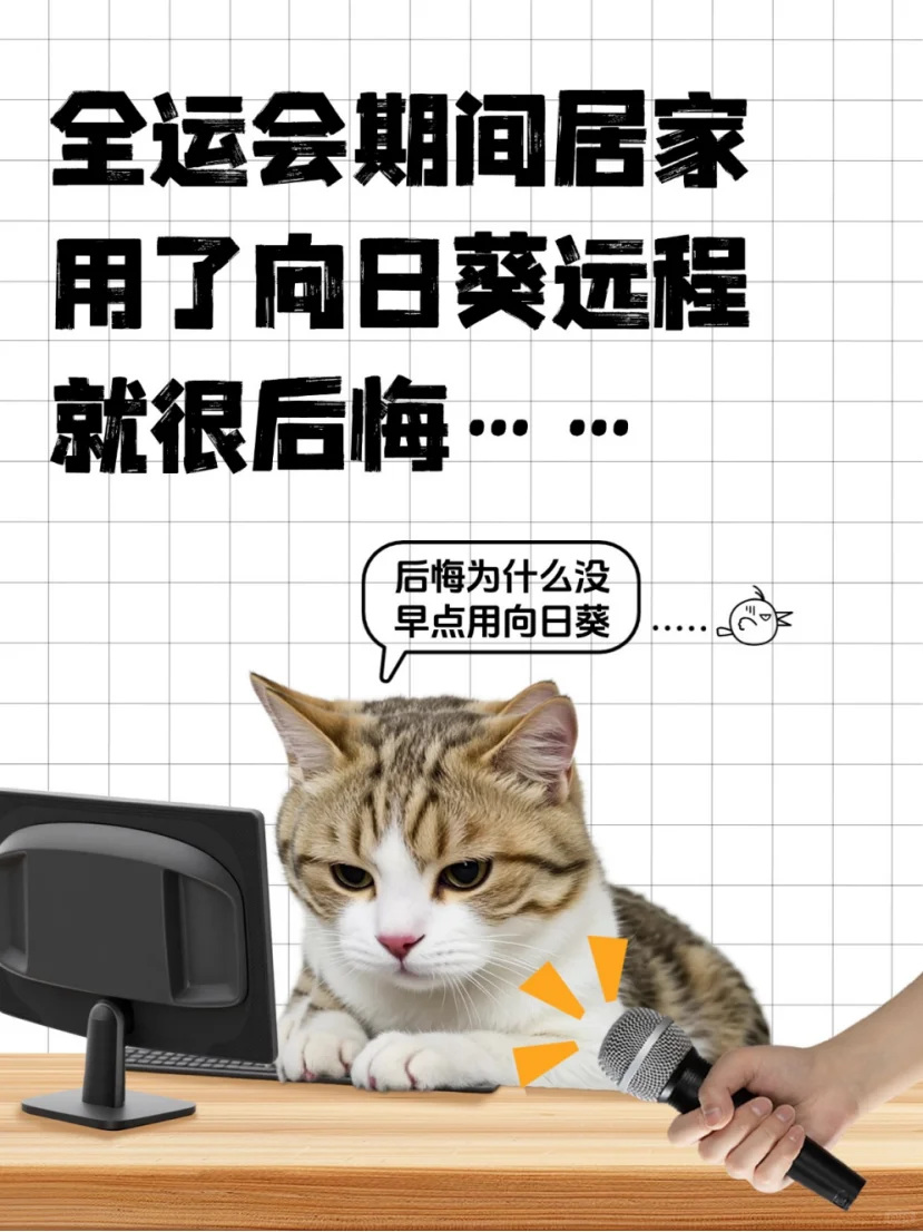 IT人分享｜全运会期间远程维护用向日葵?