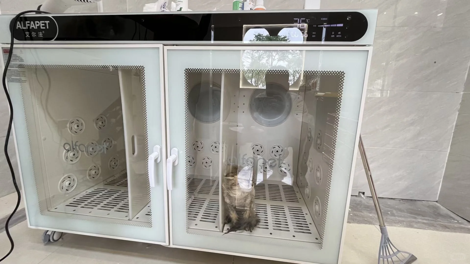 宝藏设备商服！你需要的宠物设备全都有！