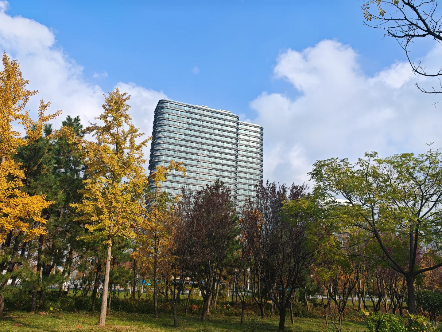 立冬啦，随手一拍