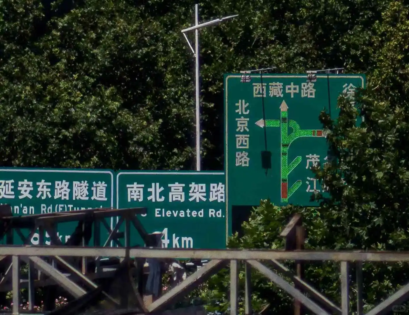 用个56年前的老“东风”与哈苏蔡司