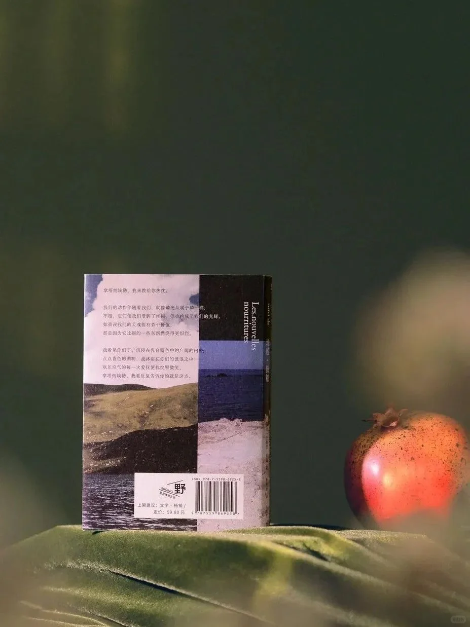 布面压花,这么美的封面!你知道是哪本书吗?