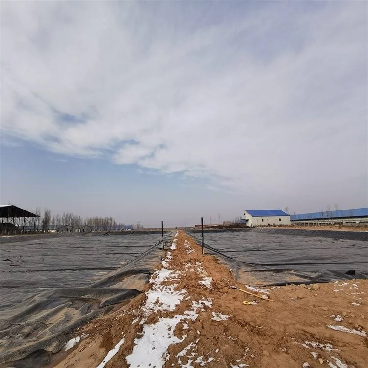 青岛防渗土工膜选购技巧