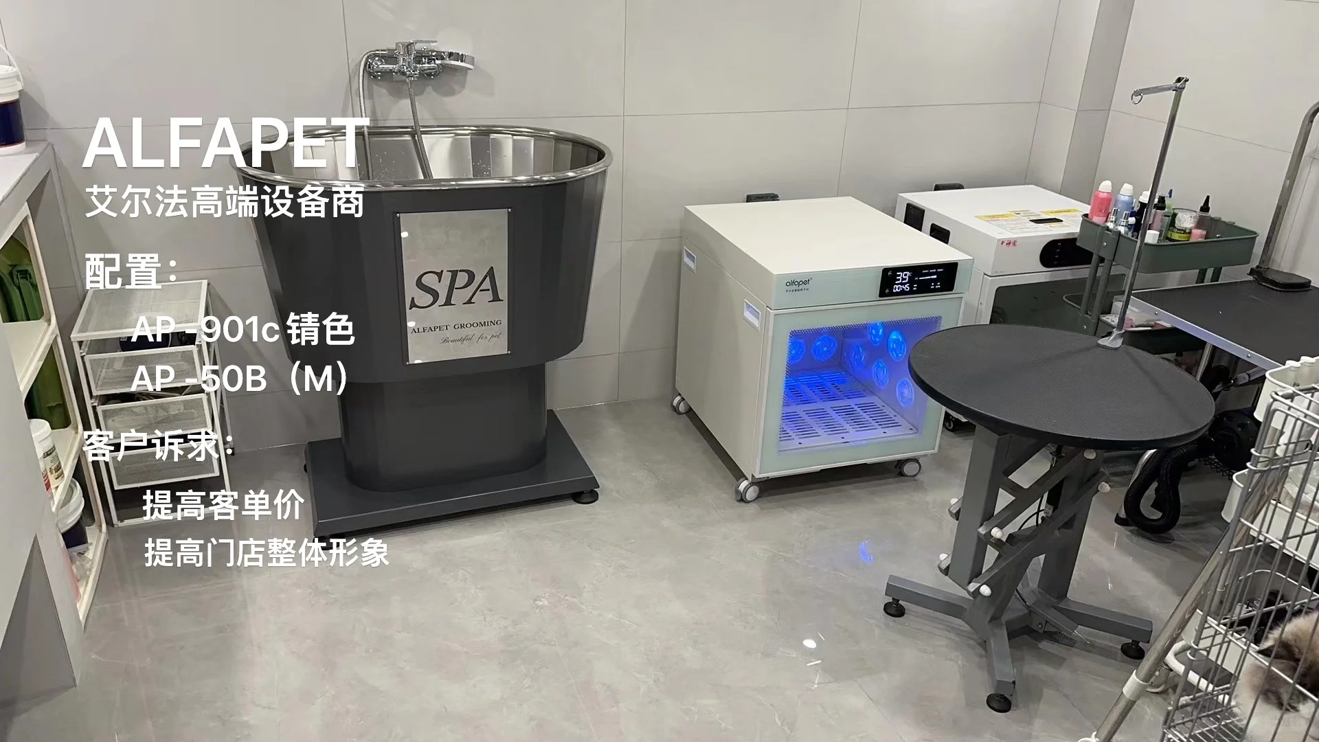 宝藏设备商服！你需要的宠物设备全都有！