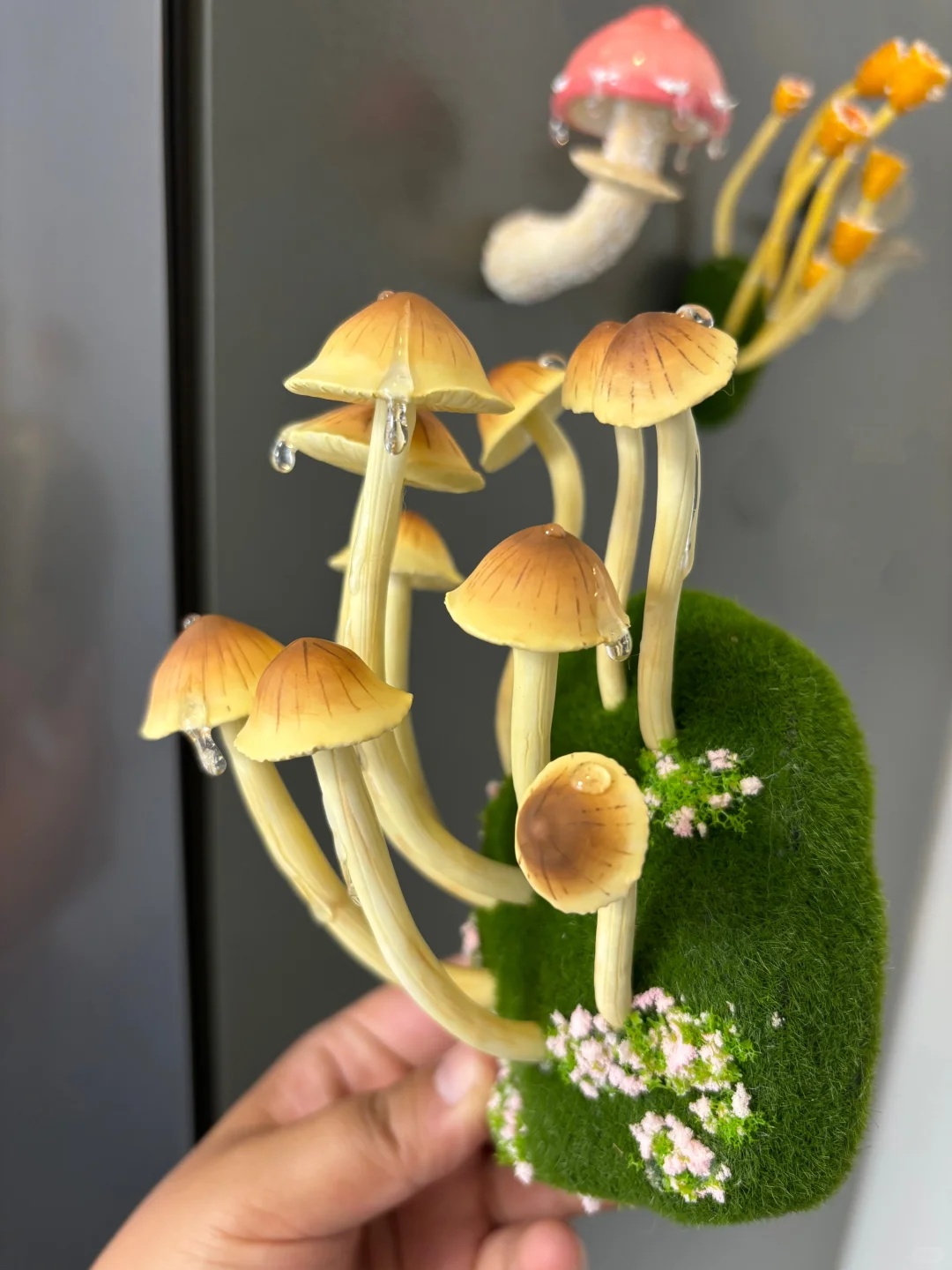 蘑菇蘑菇?‍? 冰箱怎么长蘑菇了？