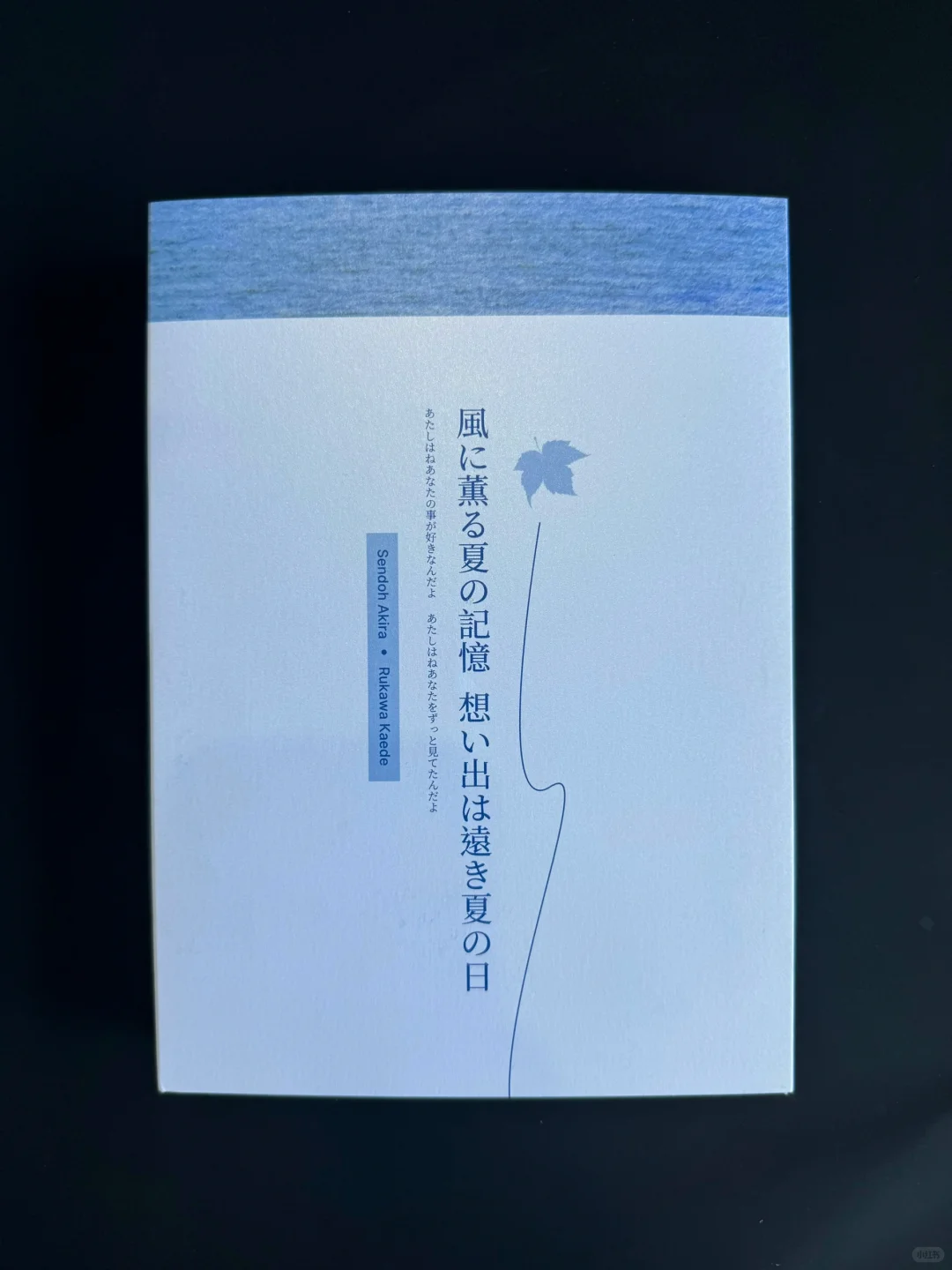 案例｜你没见过的满版压凹同人本?