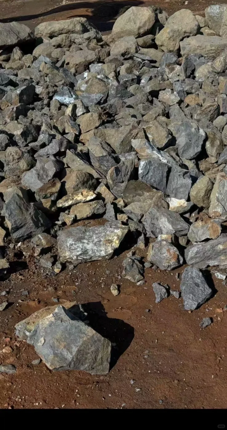 进口优质铜精粉 进出口公司直营