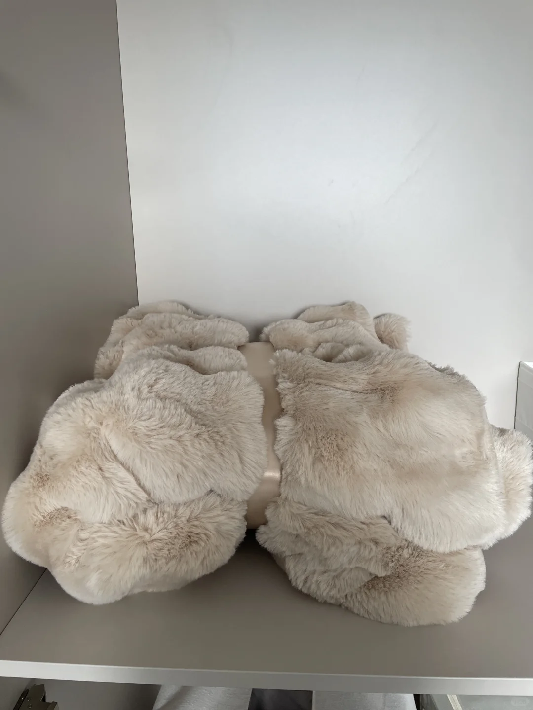 新家100个快递之一