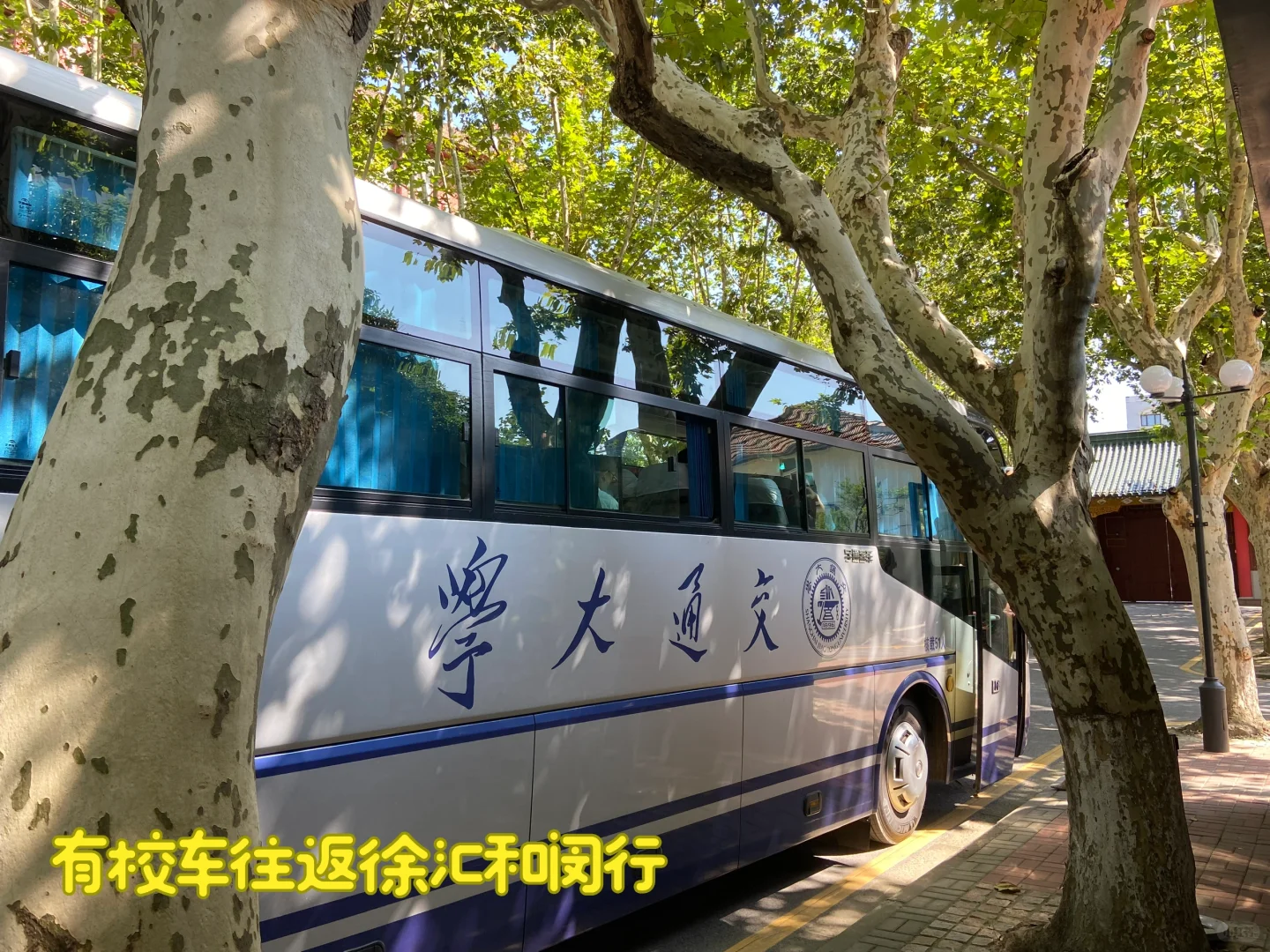 民间招生办｜上海交大 安泰就读体验分享