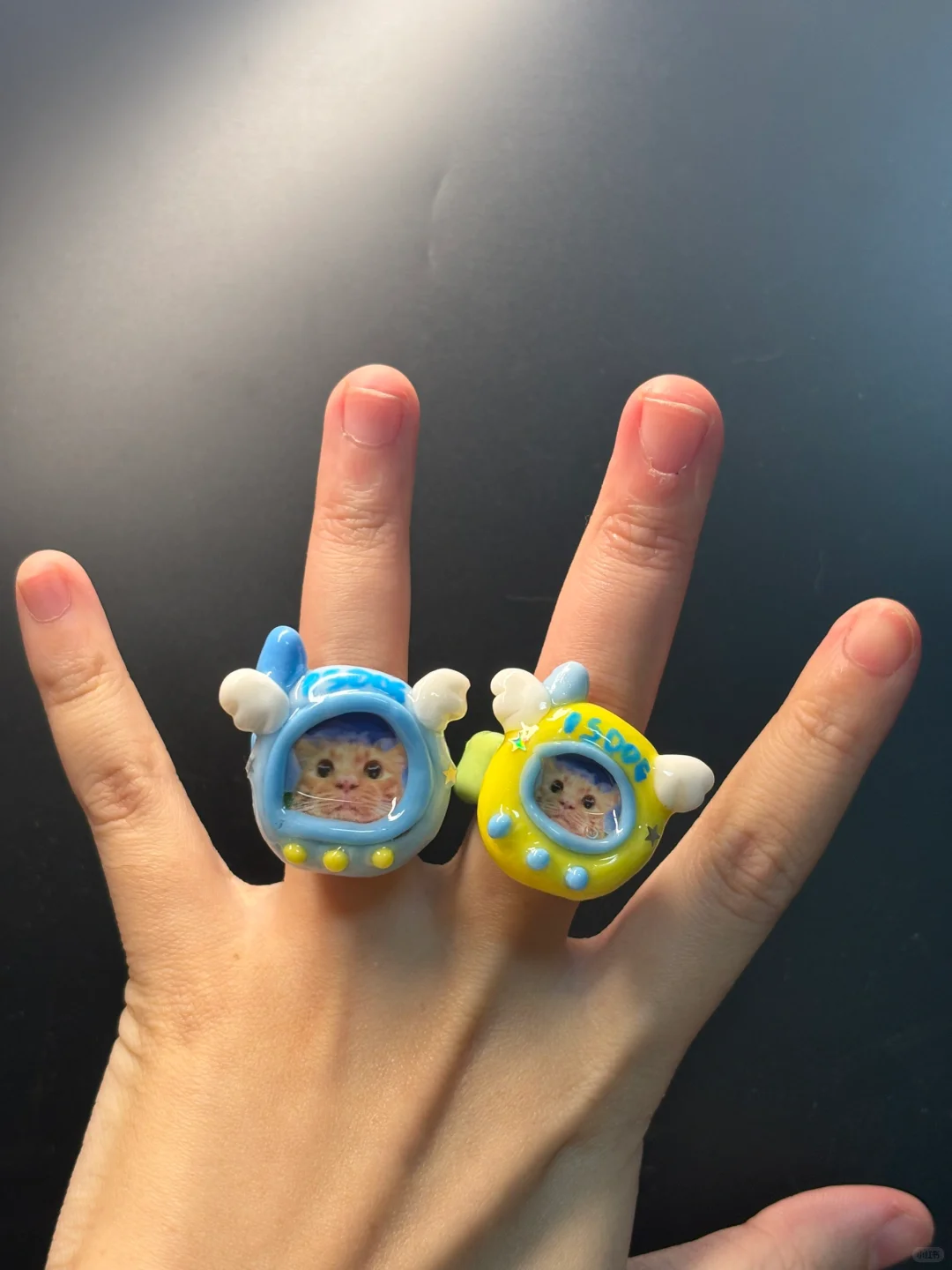 全体猫咪??到时见～