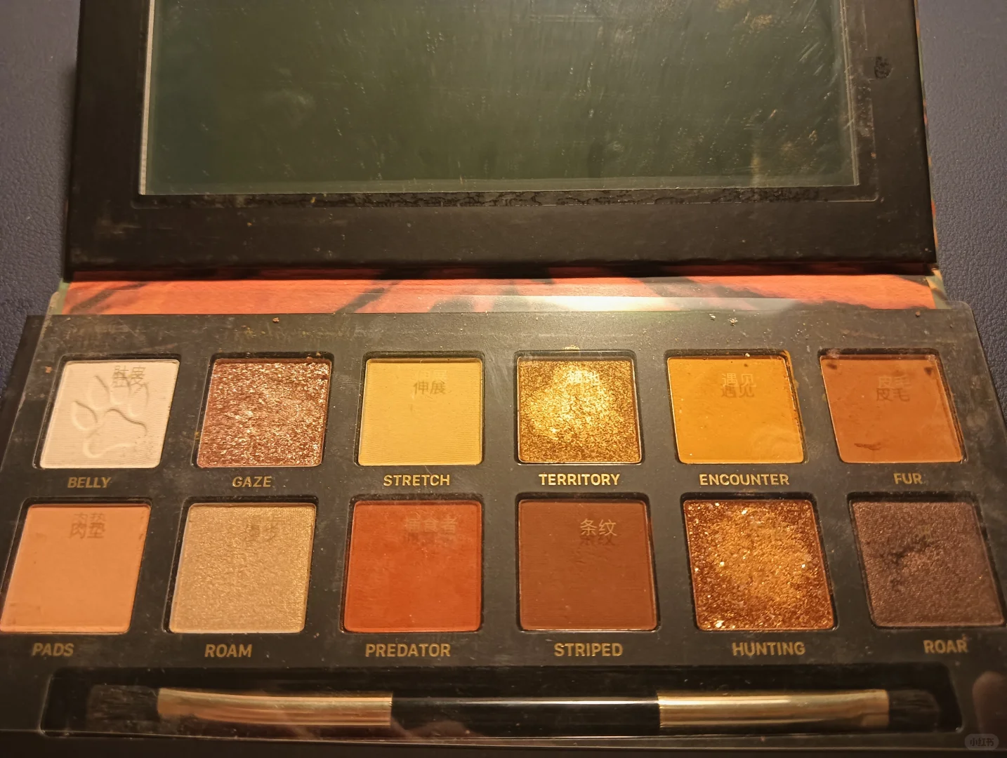 收藏的眼影盤，已絕版