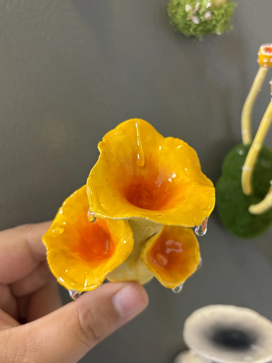 蘑菇蘑菇?‍? 冰箱怎么长蘑菇了？