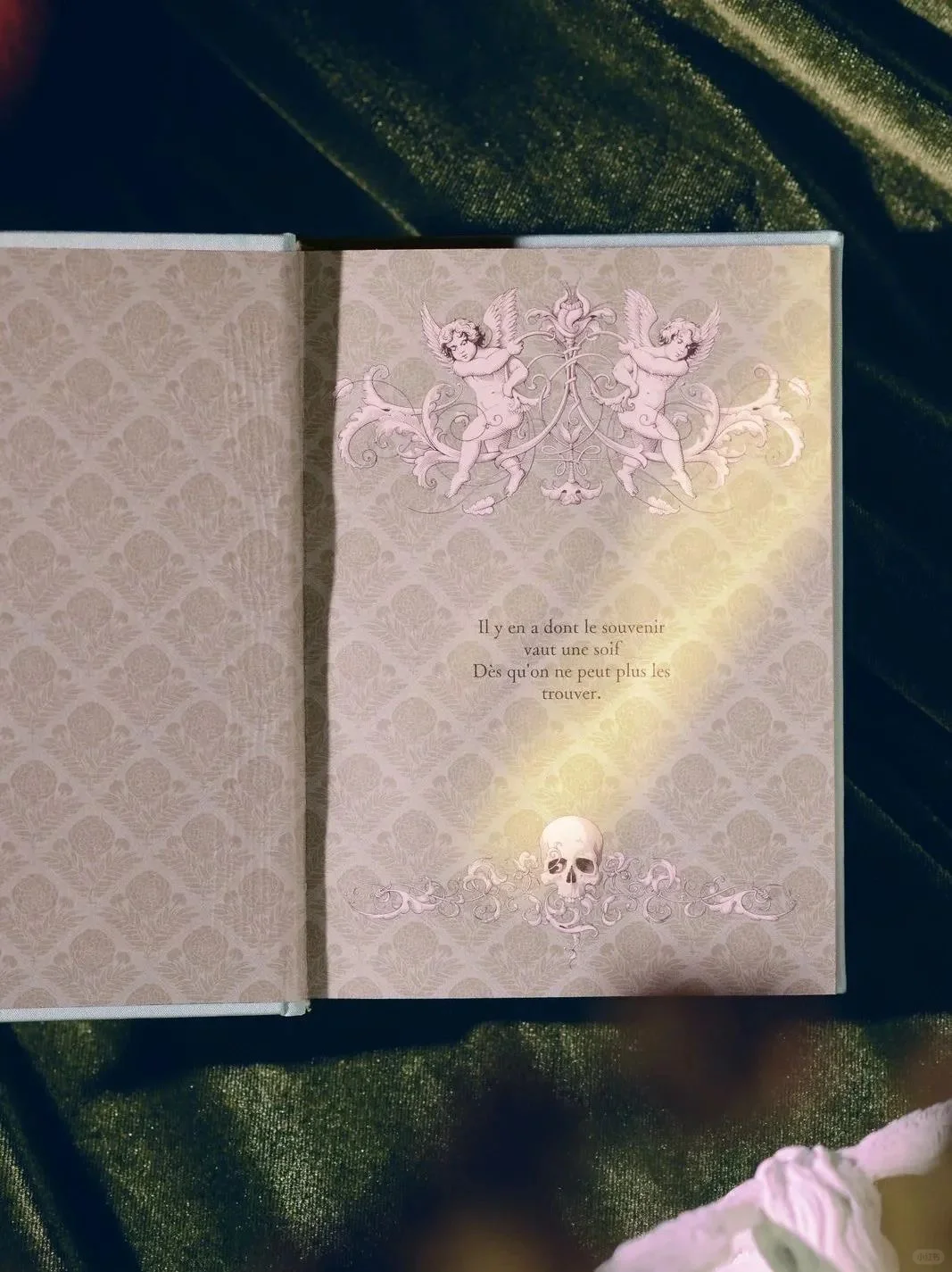 布面压花,这么美的封面!你知道是哪本书吗?