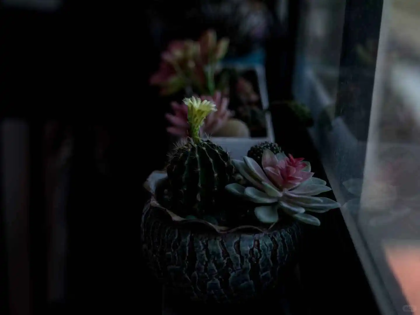 用个56年前的老“东风”与哈苏蔡司