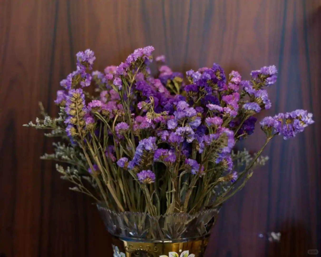 用个56年前的老“东风”与哈苏蔡司