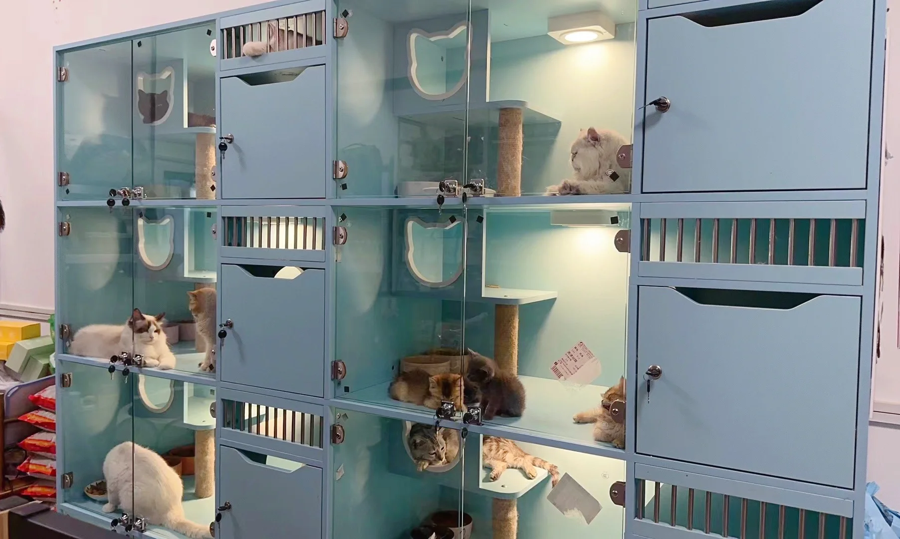 宝藏设备商服！你需要的宠物设备全都有！