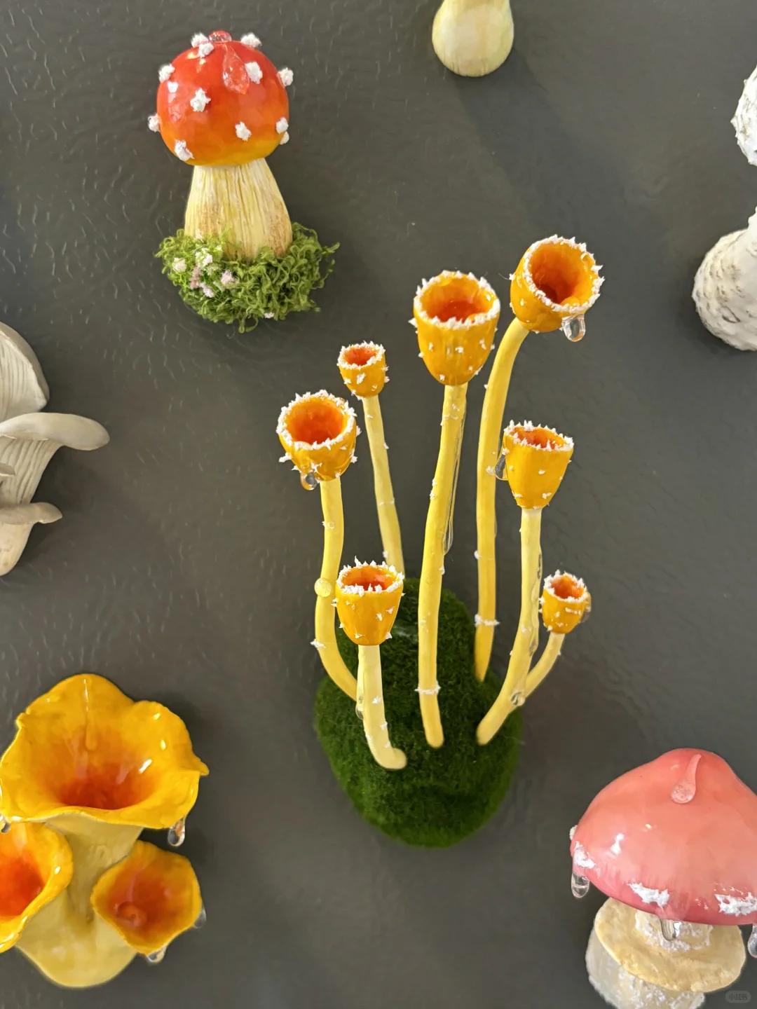 蘑菇蘑菇?‍? 冰箱怎么长蘑菇了？