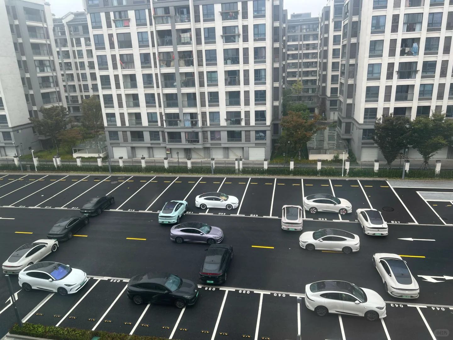 浙里车改跑山车友圈