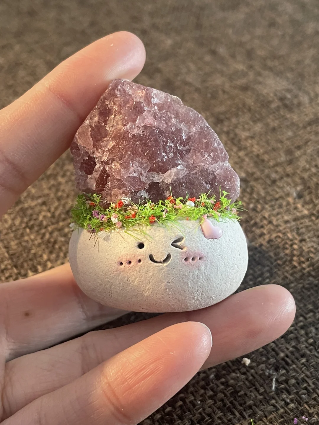 水晶小豆丁待领养～