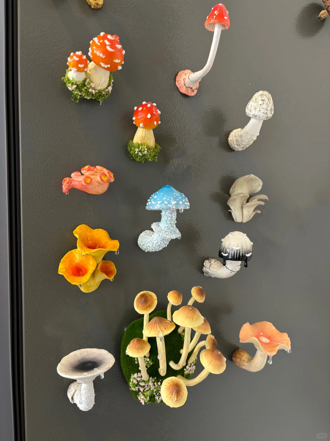 蘑菇蘑菇?‍? 冰箱怎么长蘑菇了？