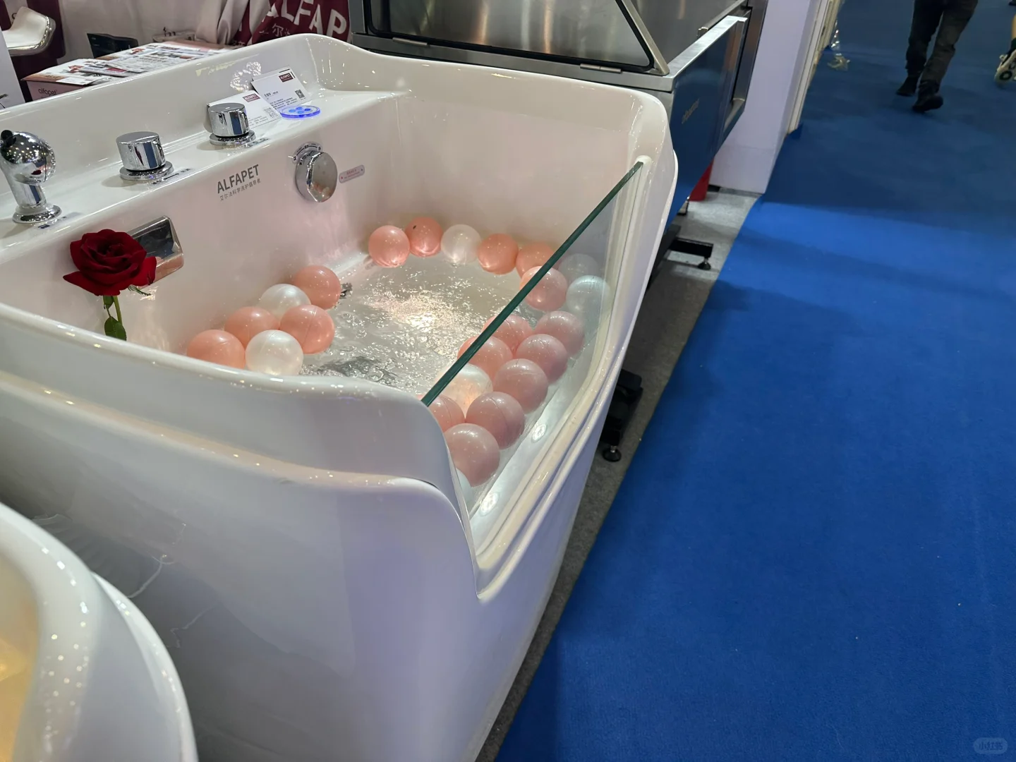 宝藏设备商服！你需要的宠物设备全都有！