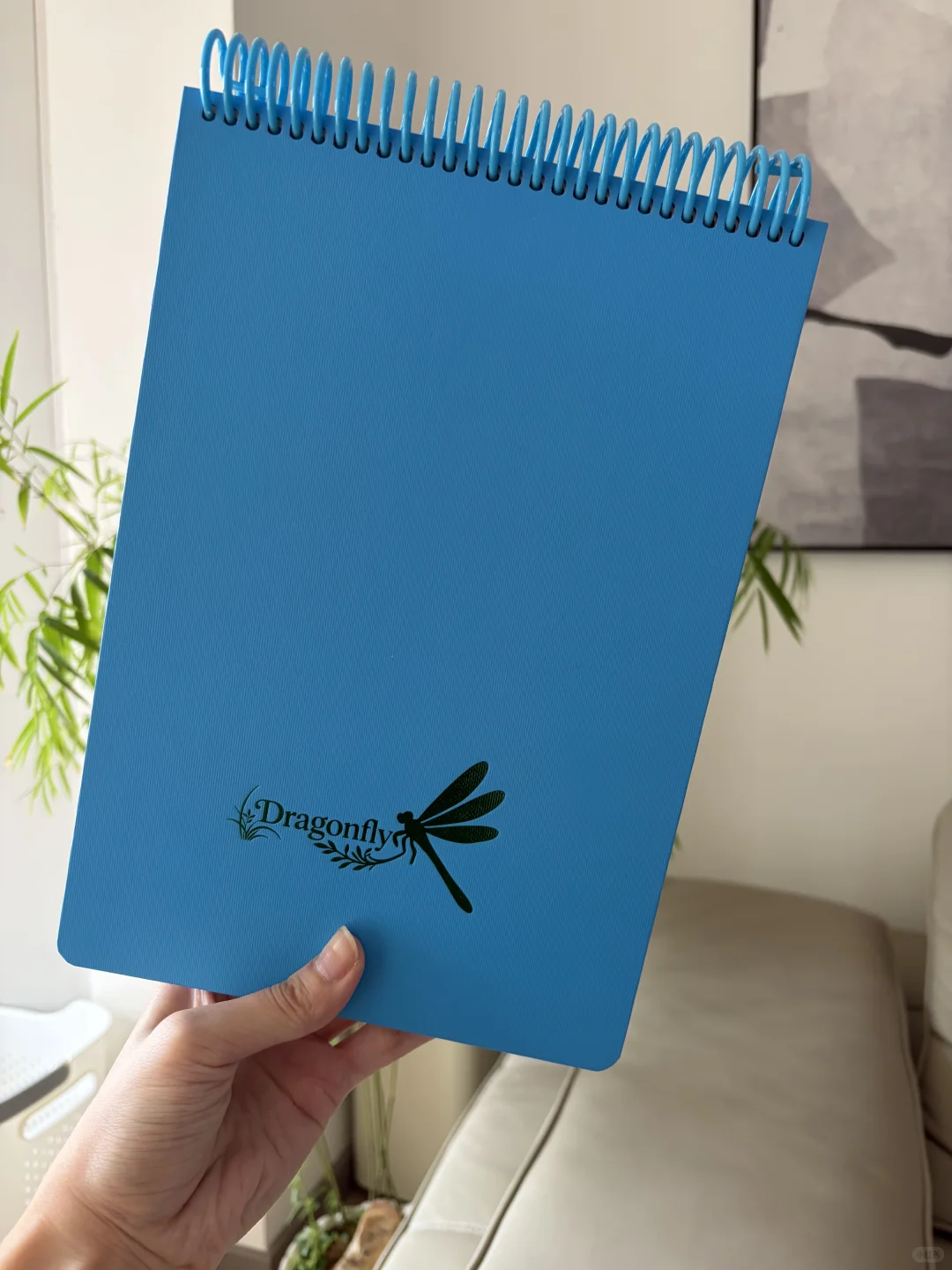 新入昆虫系列上翻纯色本！