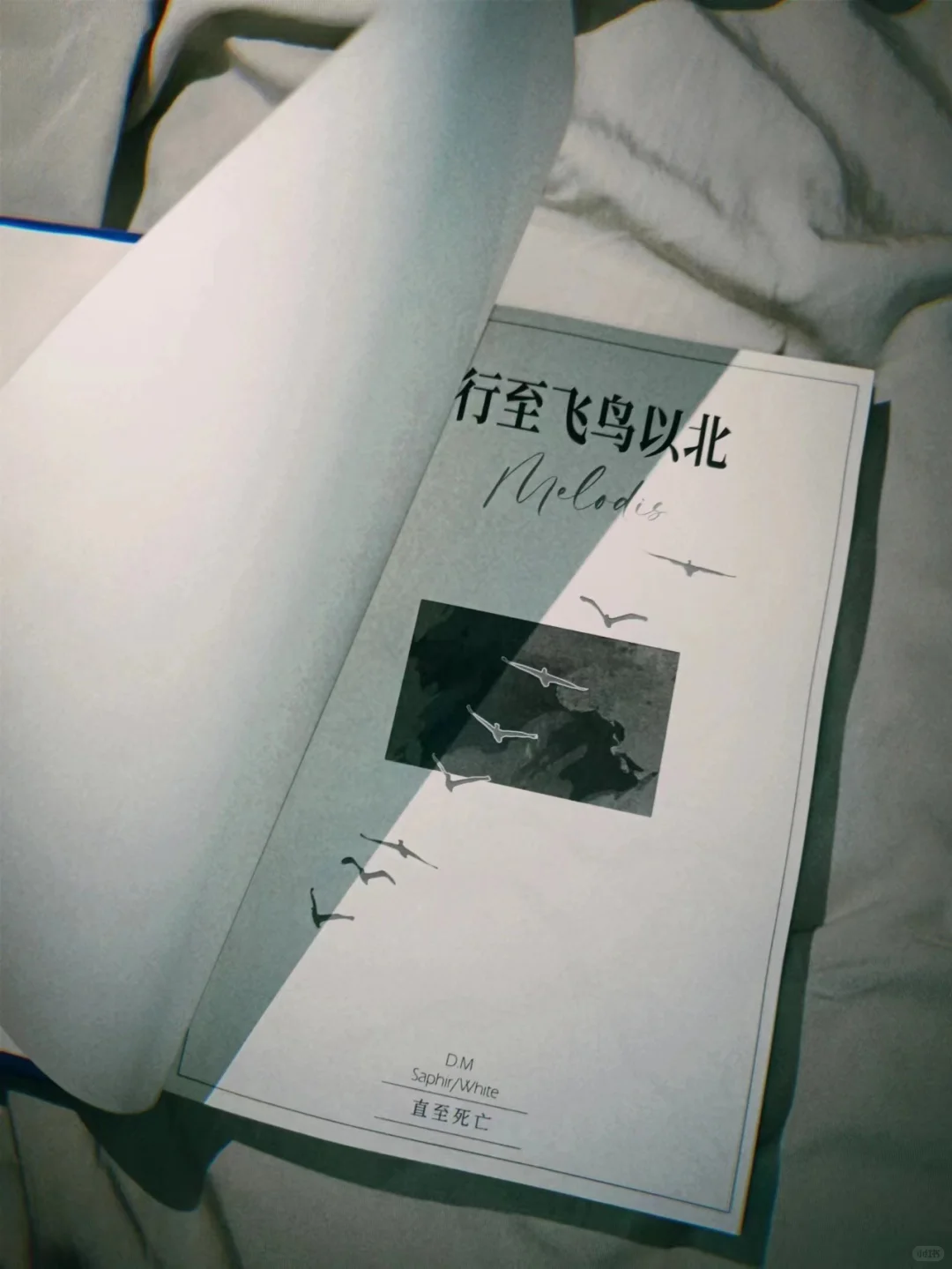 同人本还能这么印!细节控速抄作业