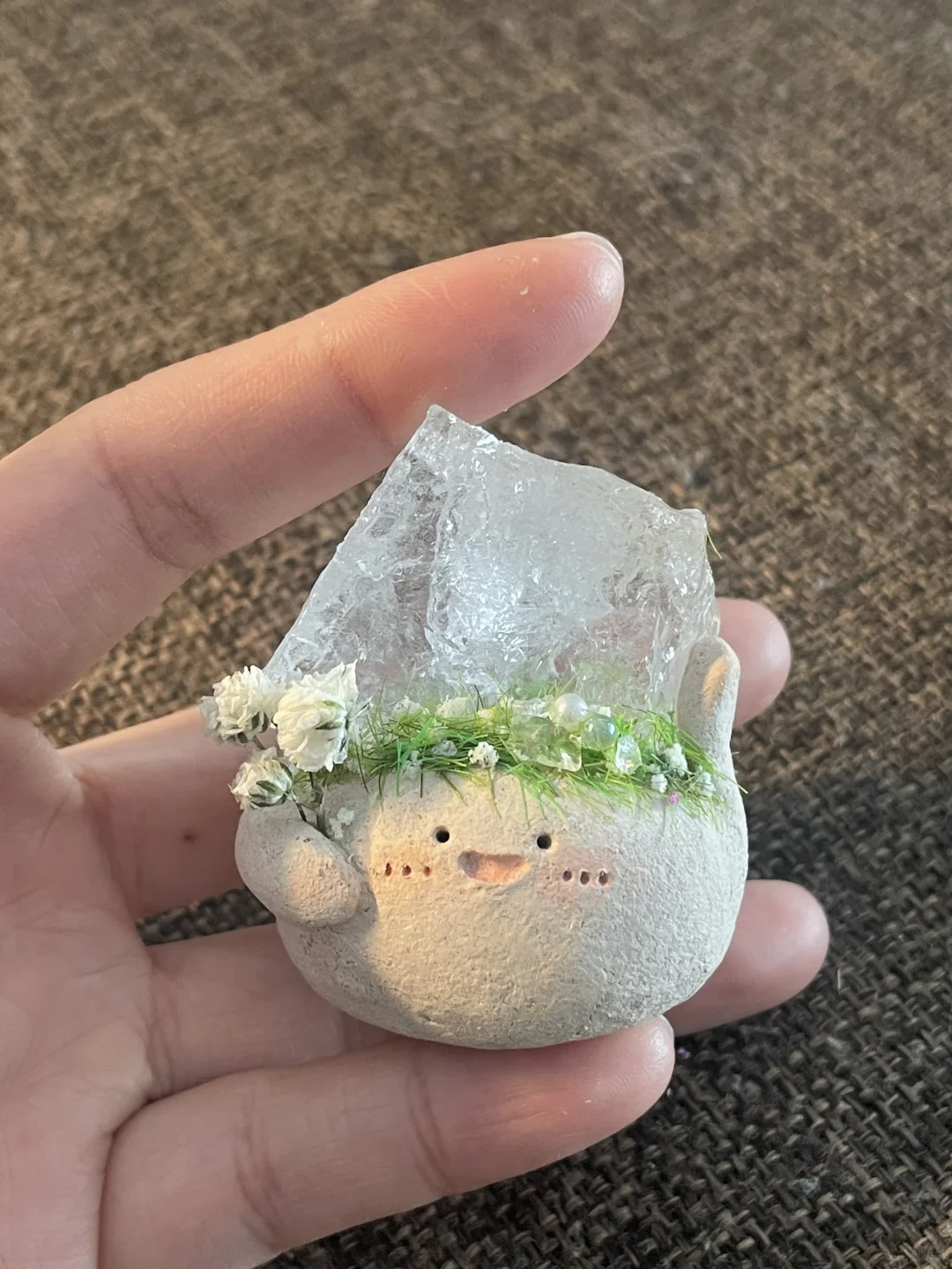 水晶小豆丁待领养～