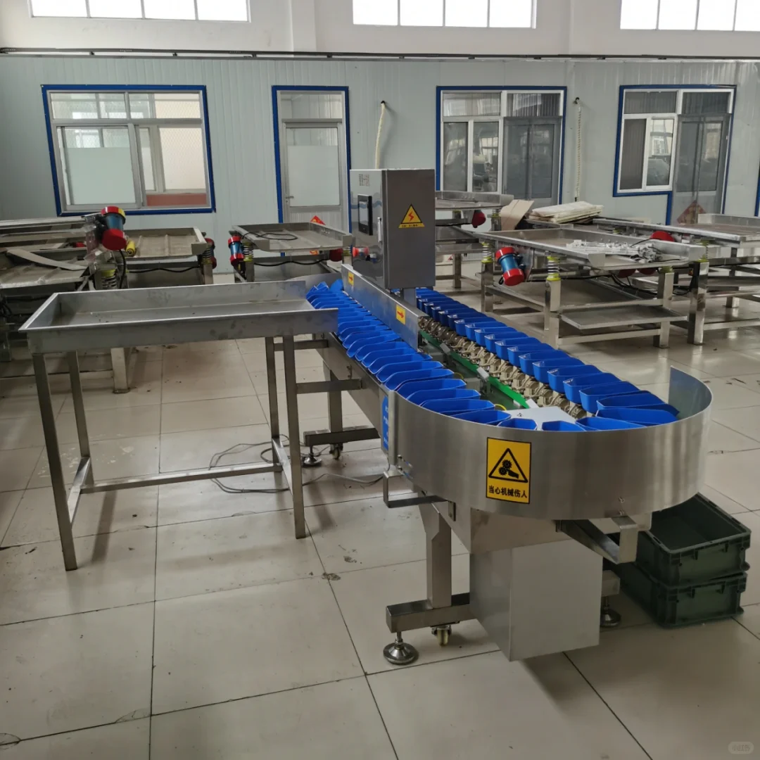 分选机设备