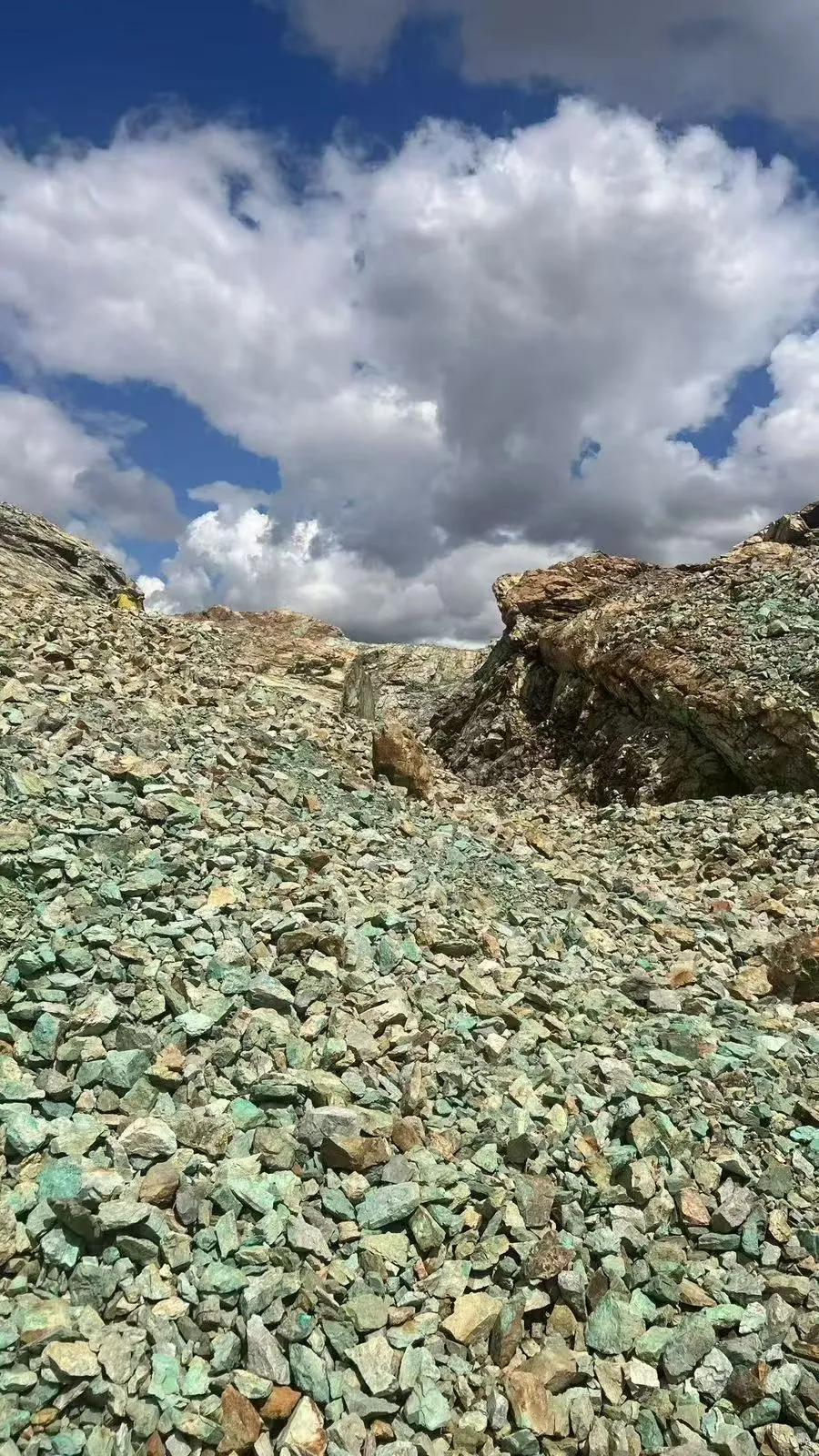 进口优质铜精粉 进出口公司直营