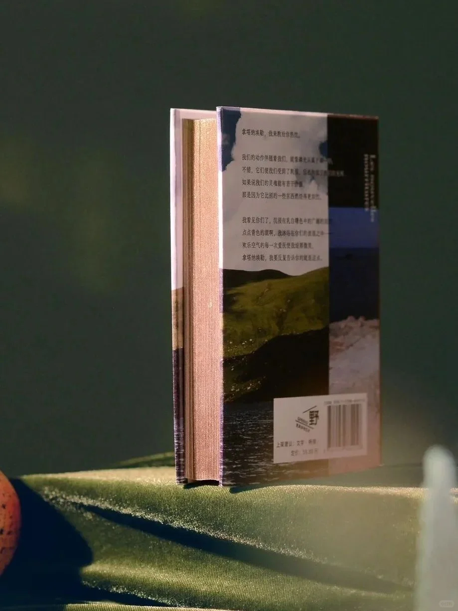 布面压花,这么美的封面!你知道是哪本书吗?