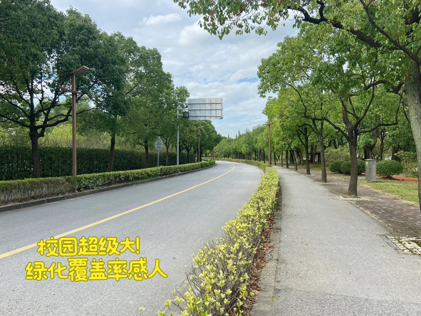 民间招生办｜上海交大 安泰就读体验分享