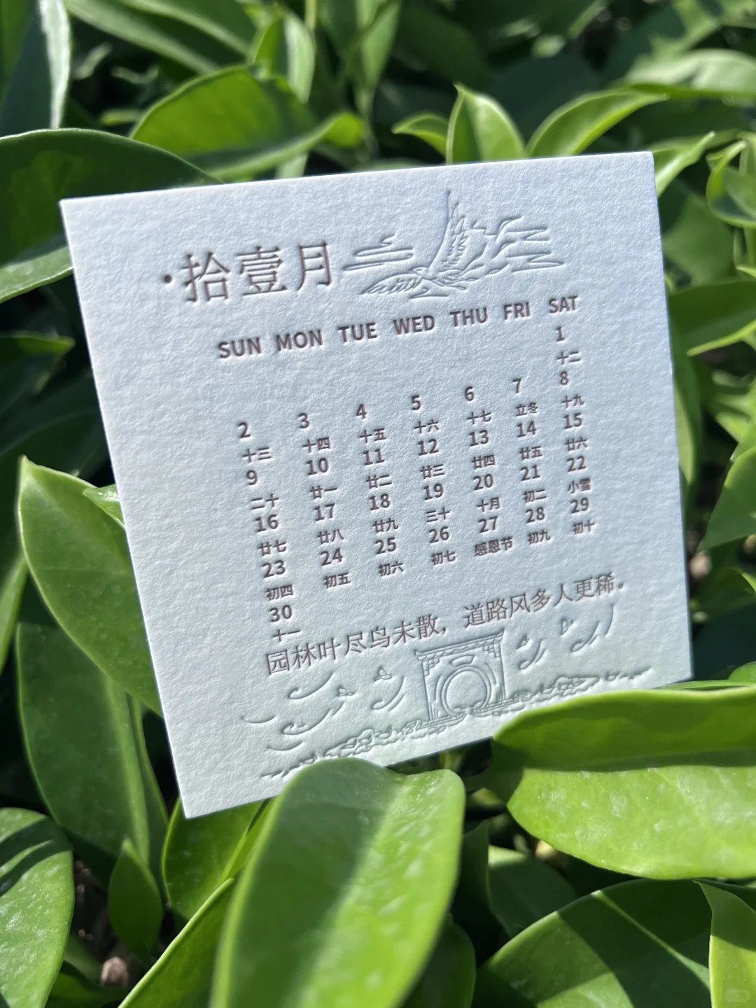 450克意大利WILD棉纸凸版卡片印刷压印凹凸