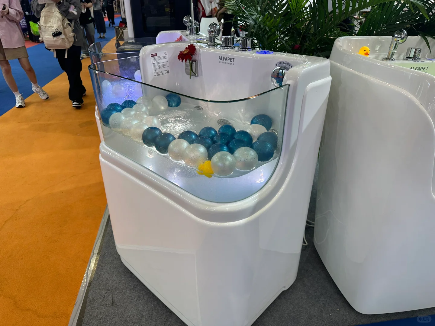 宝藏设备商服！你需要的宠物设备全都有！