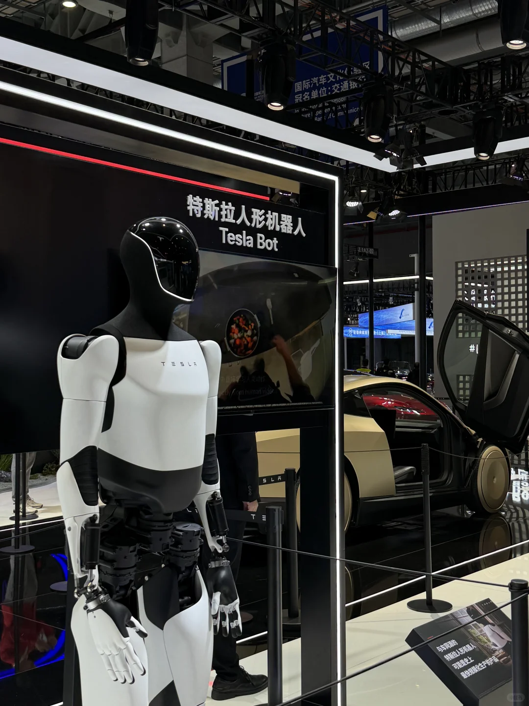 进博会第一个也是唯一一个要冲的展位！