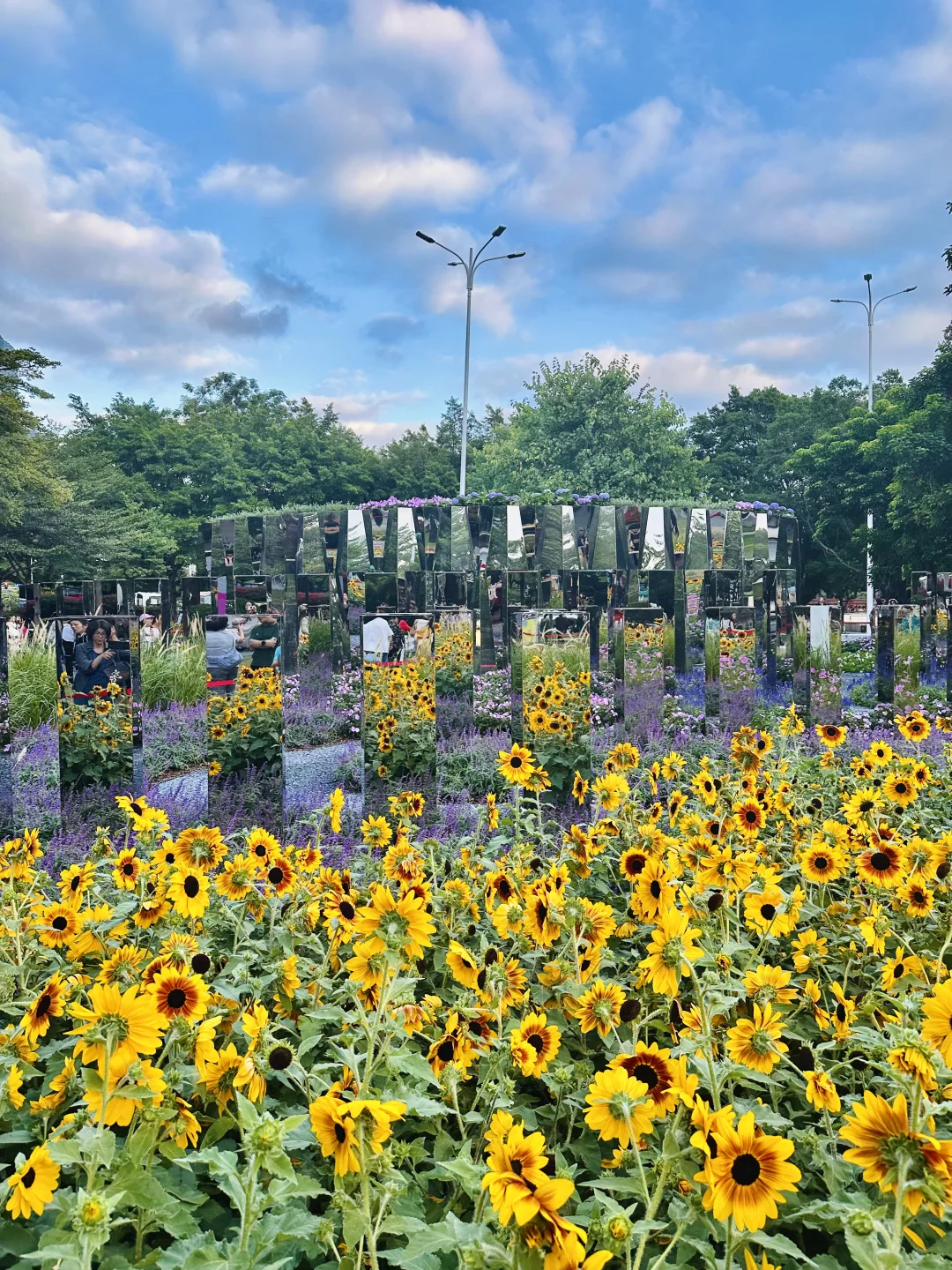 广州园博会就是个巨大莫奈花园!live图绝美!