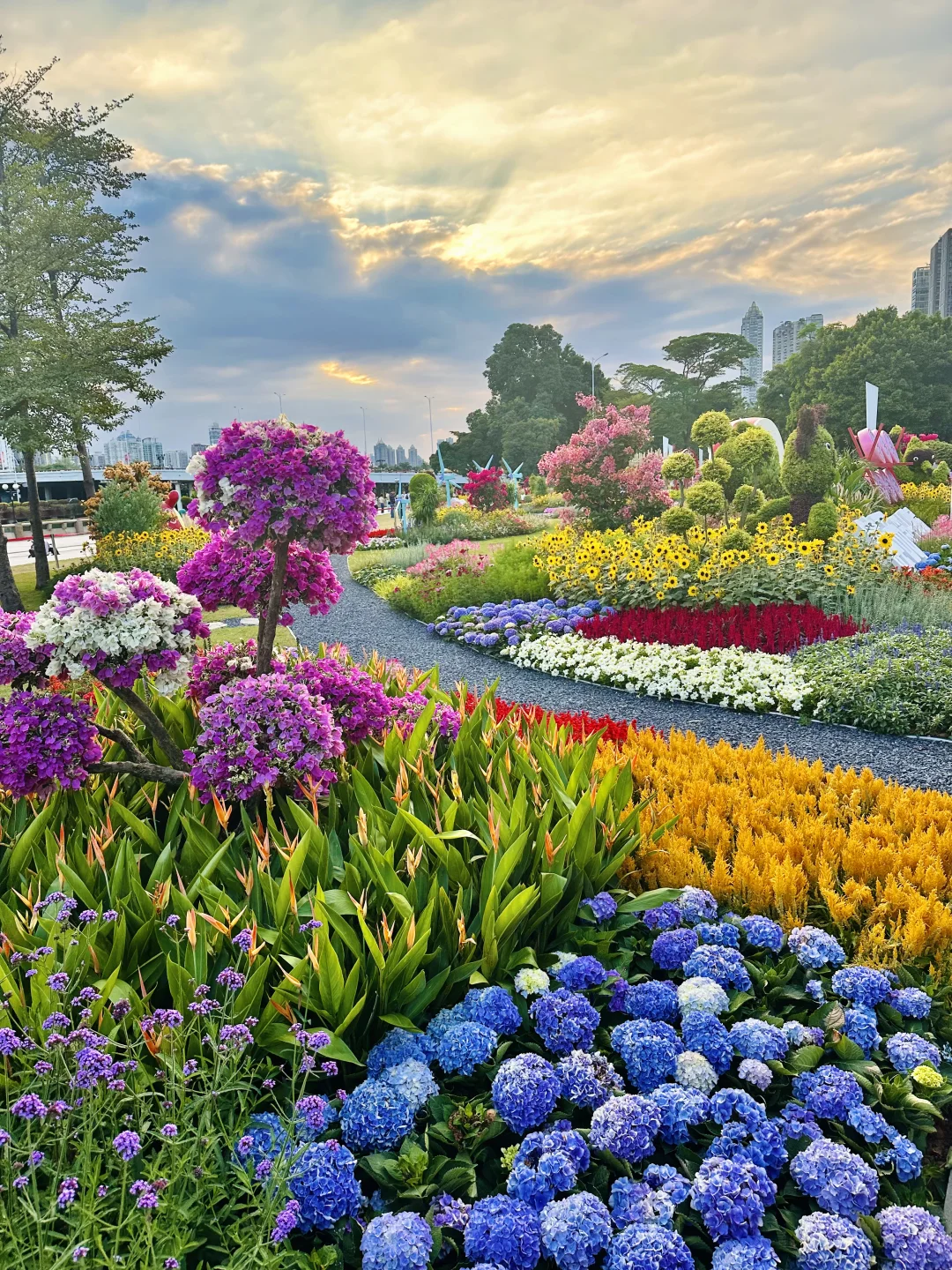 广州园博会就是个巨大莫奈花园!live图绝美!