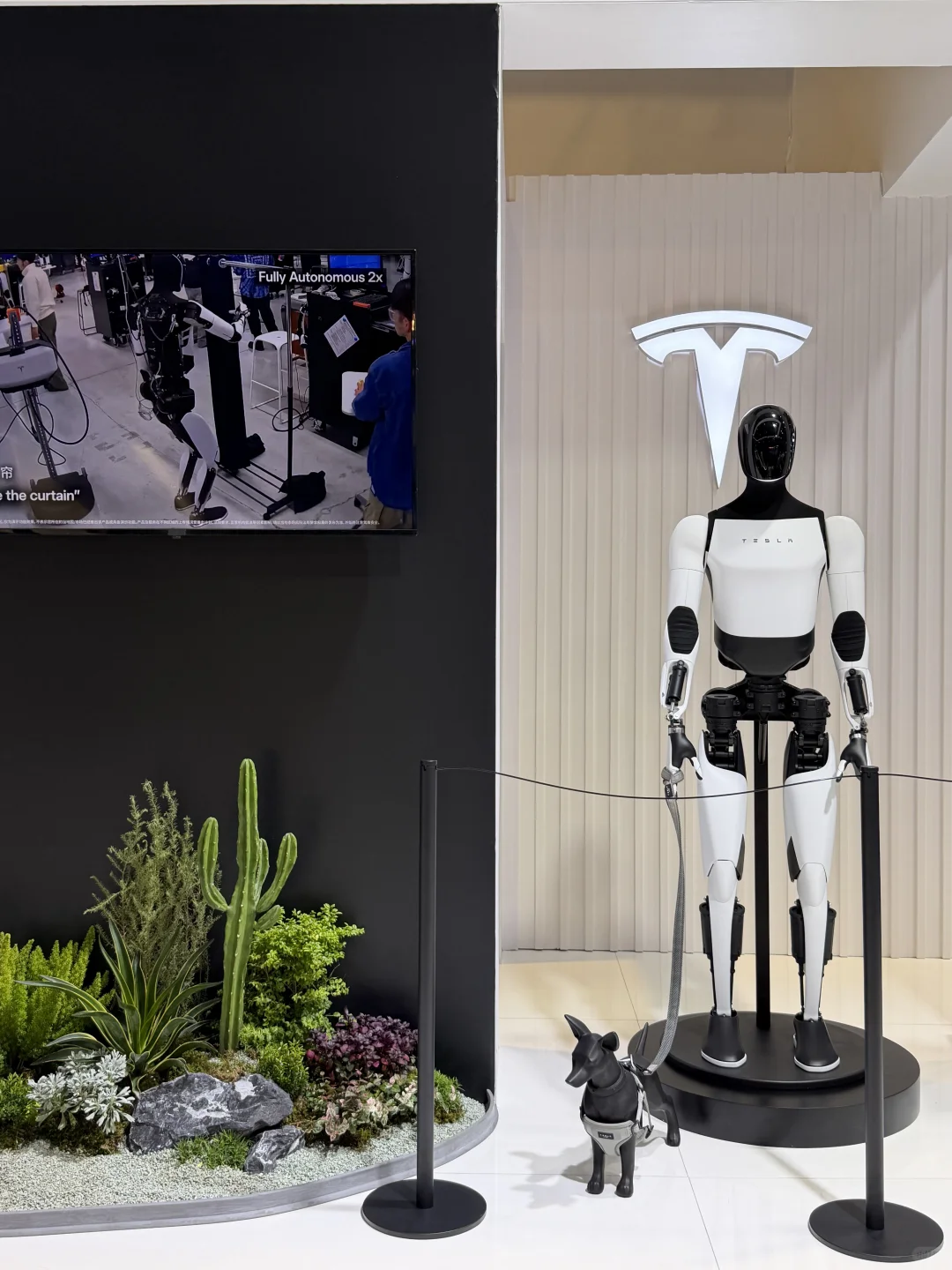 进博会第一个也是唯一一个要冲的展位！