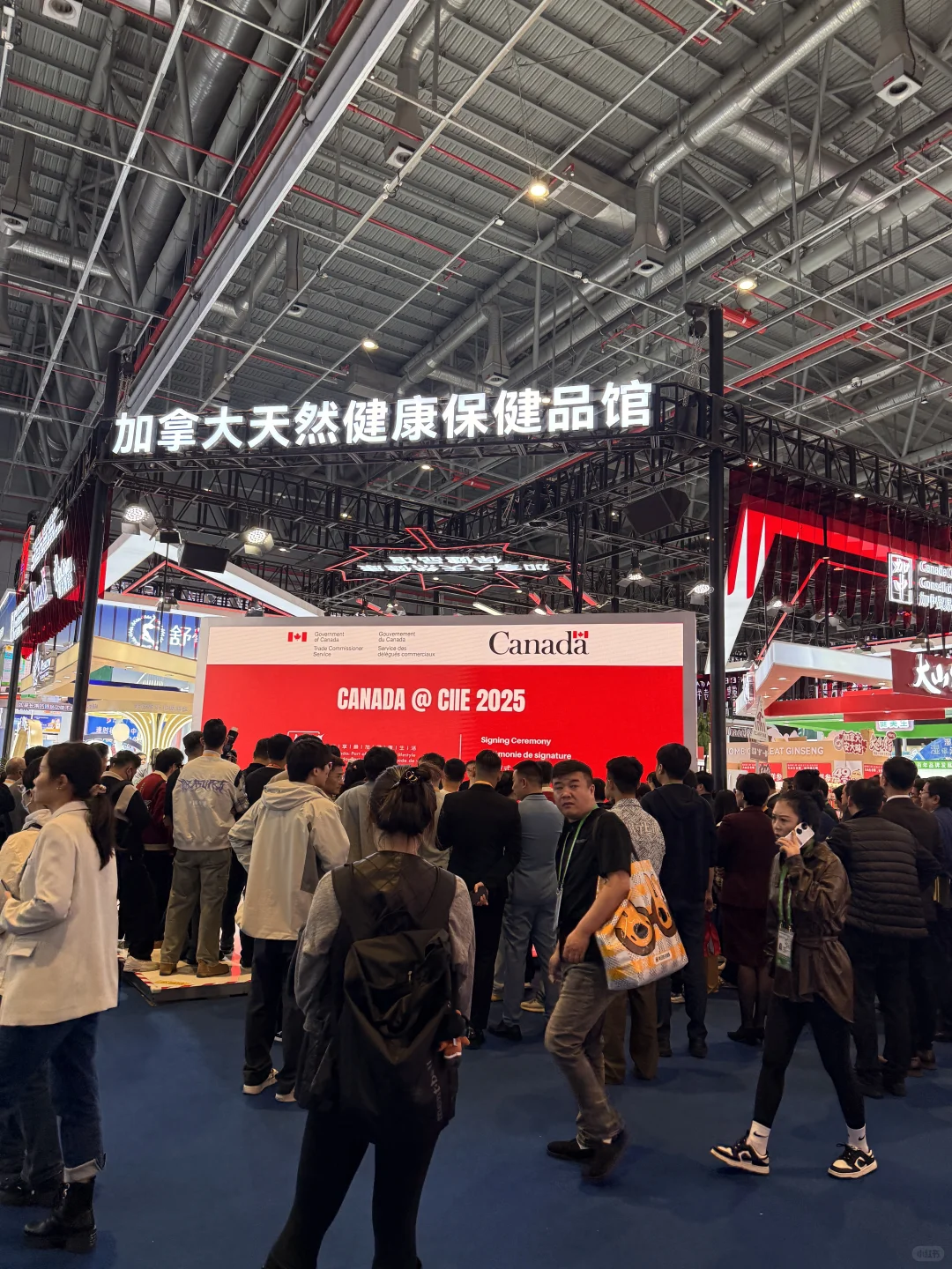 又是一年进博会