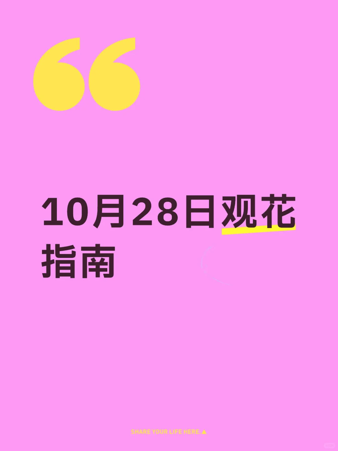 10月28日观花指南