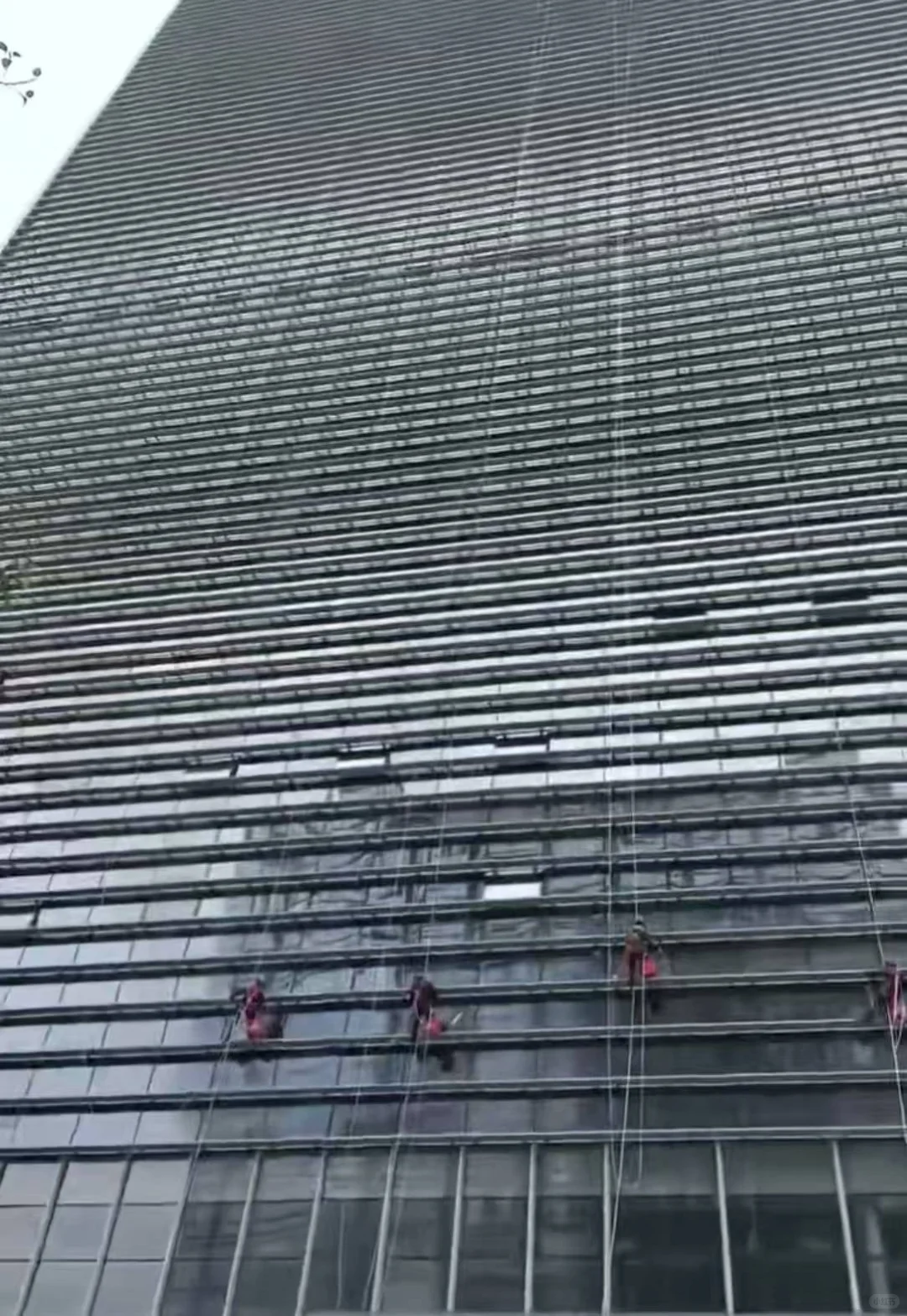 广州工业园高空玻璃清洗实力推荐