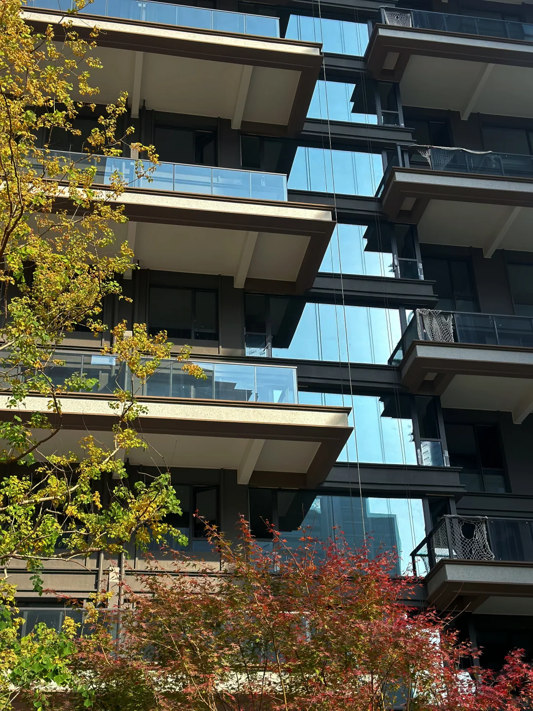 建筑与自然的诗意共生[哇]