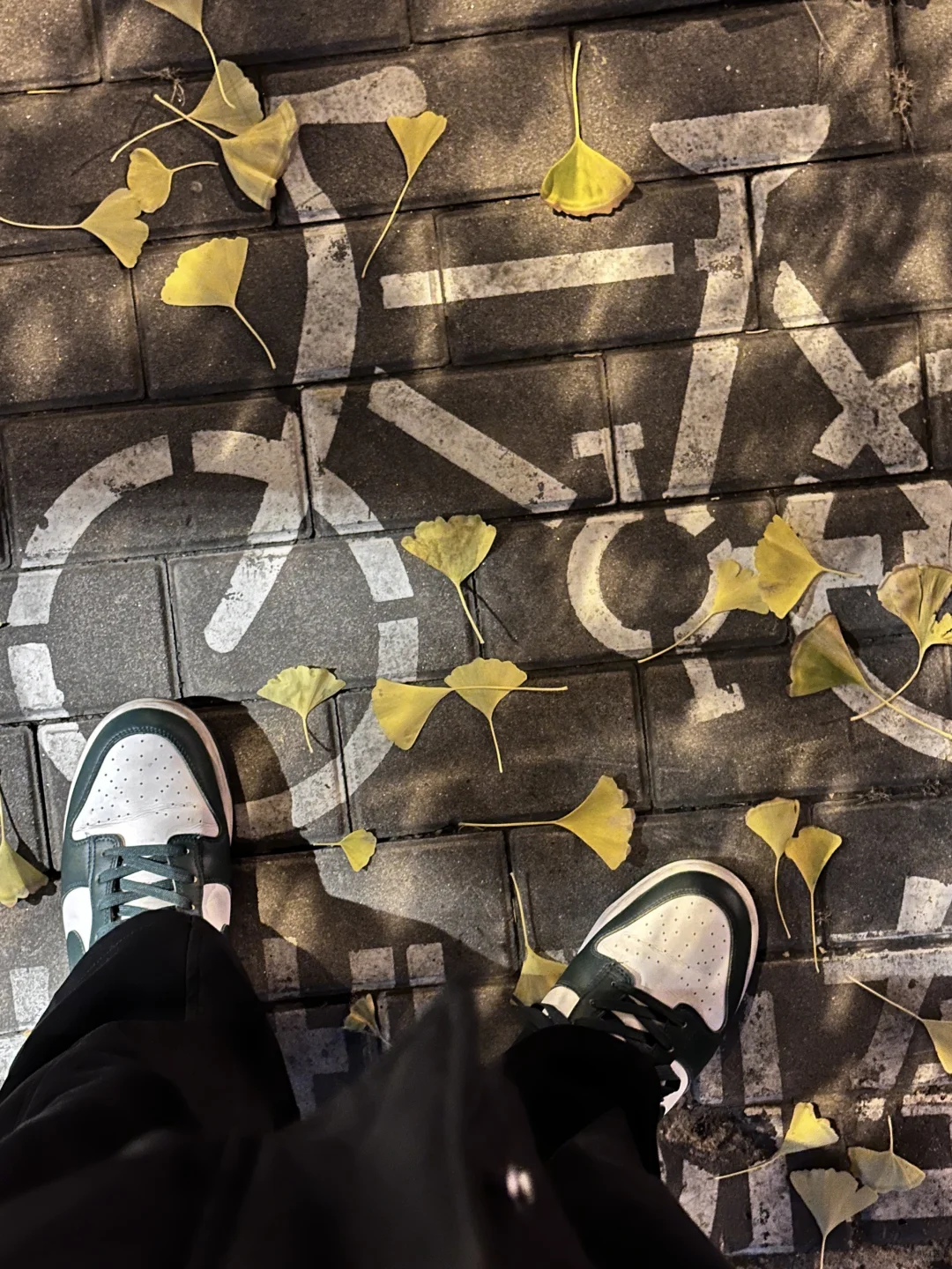 赶上了北平的秋?