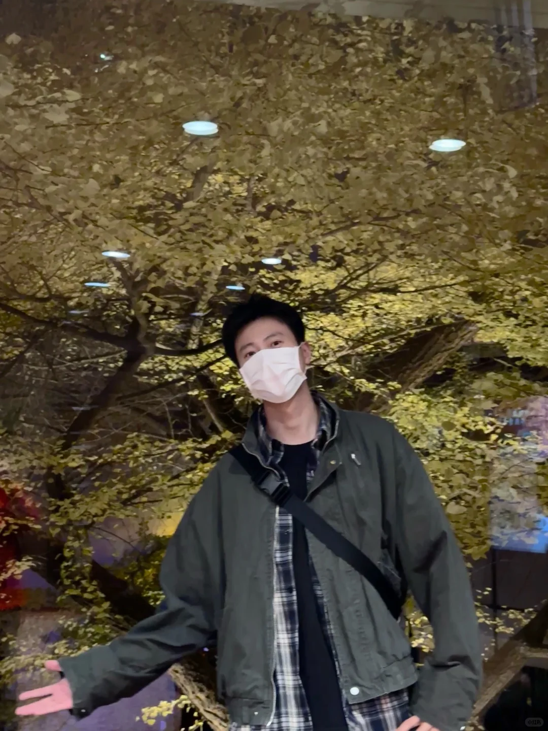 赶上了北平的秋?