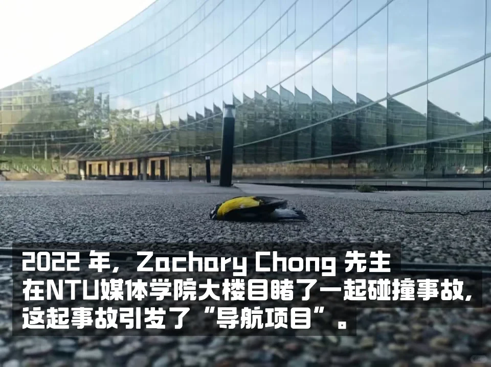 数十亿只鸟类因撞上玻璃建筑而亡