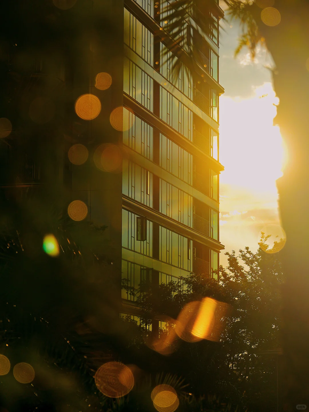 是不是建筑同行也会来参观我们小区