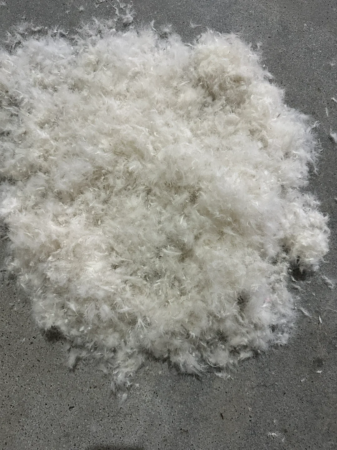 羽绒“漂流”记一