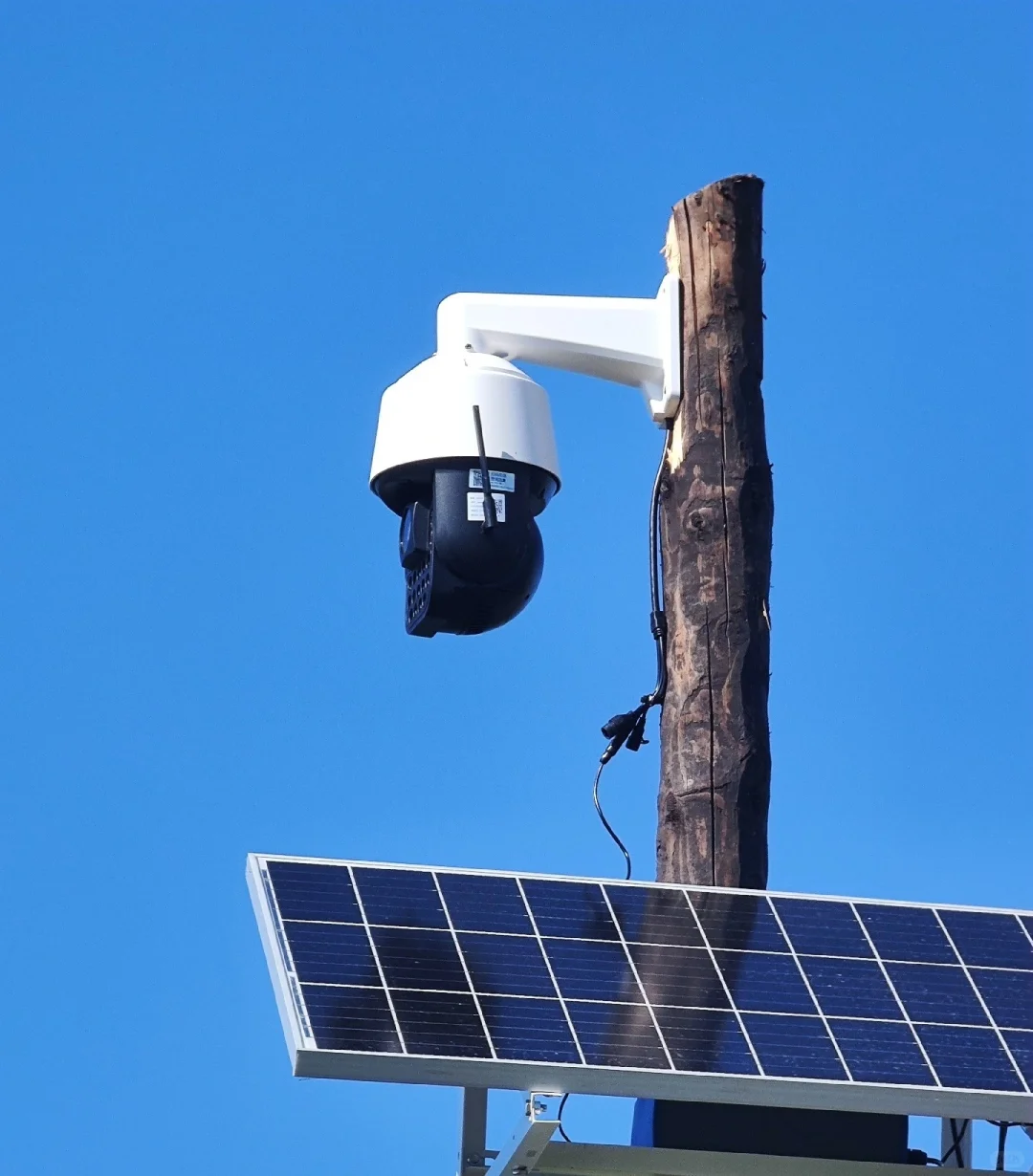 本公司主要经营：监控安防、综合布线