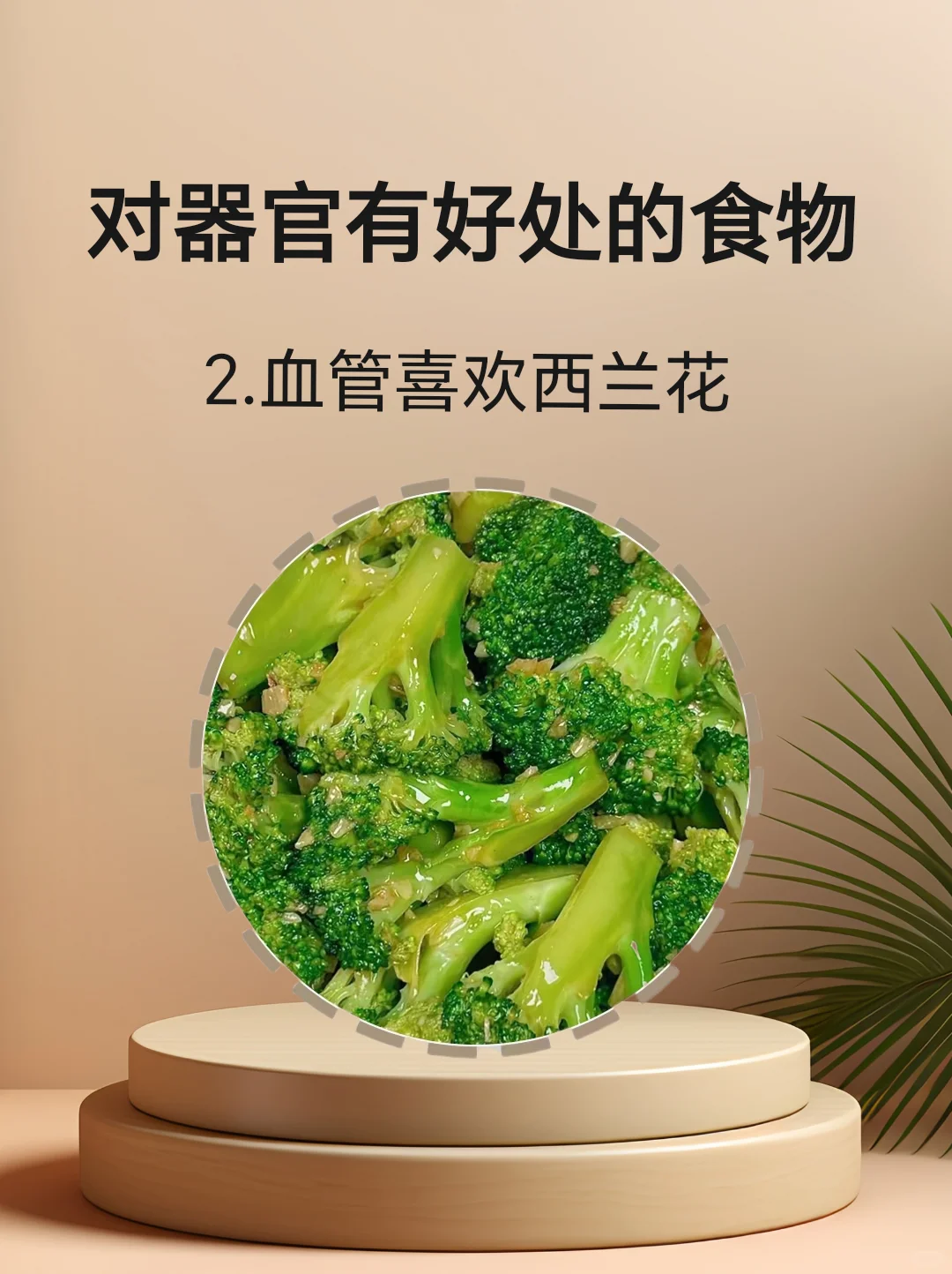 对身体器官有好处的食物