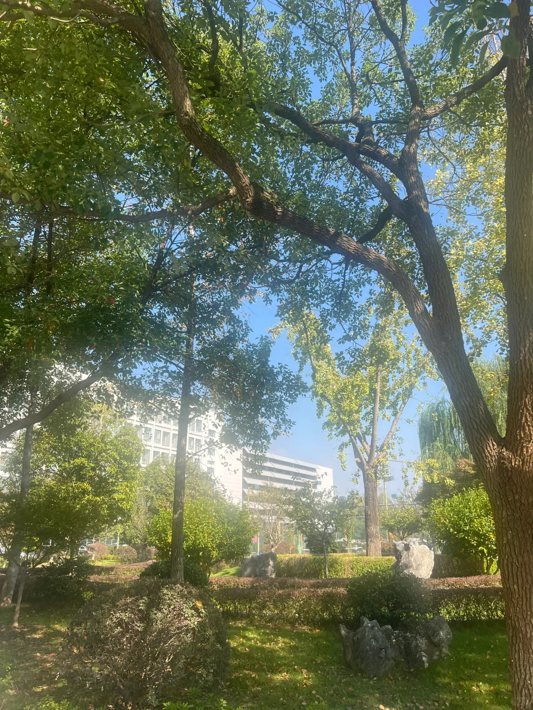 国内最美最大的定制工厂