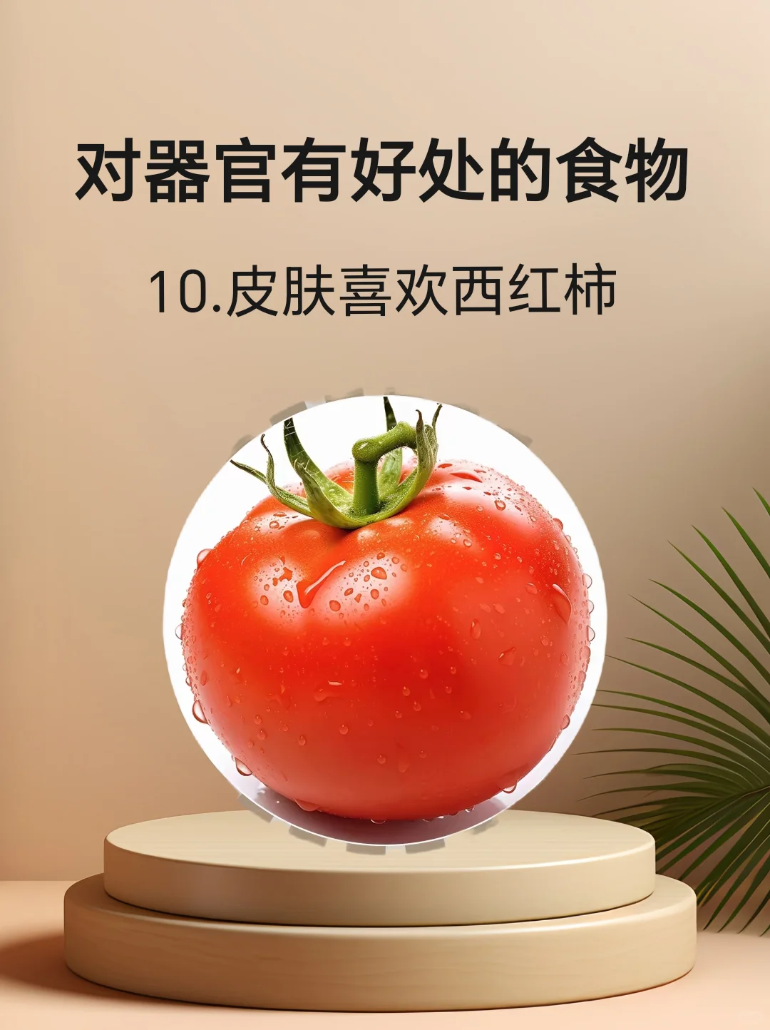 对身体器官有好处的食物